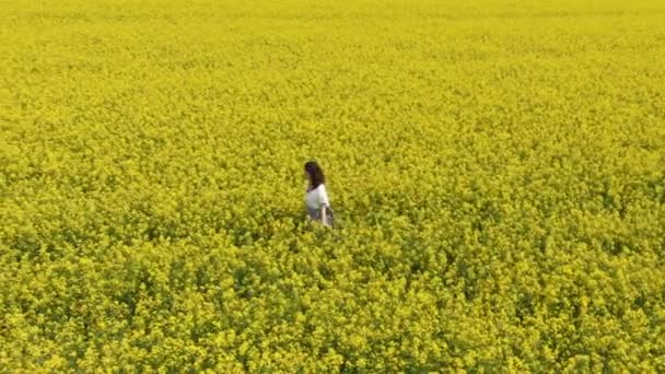 Bella bruna cammina lungo infinito campo di fiori gialli — Video Stock