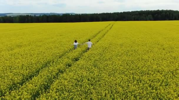 Casal romântico no amor silhueta corre ao longo do campo amarelo — Vídeo de Stock