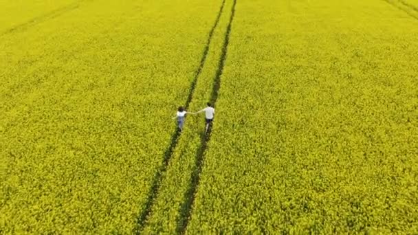 Dama en vestido de verano se ejecuta en el campo amarillo interminable pictórica — Vídeo de stock