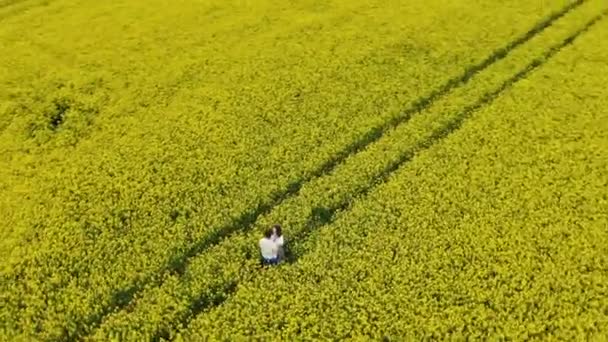 Romantiskt par silhuett kramar på ändlösa gula fältet — Stockvideo