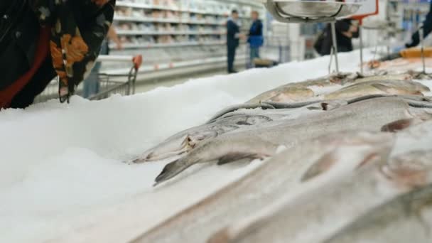 Fille bouclée renifle le poisson frais couché sur la glace et winces de l'odeur dans un supermarché — Video