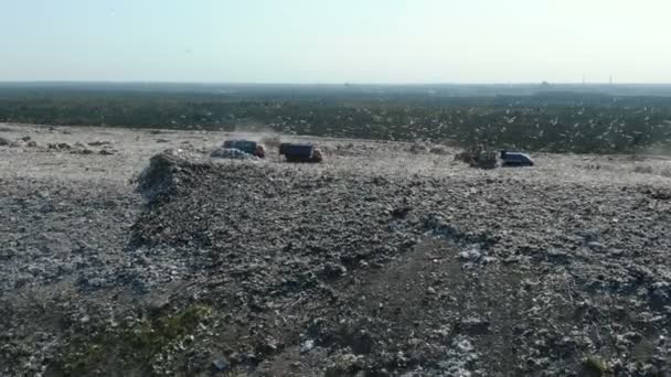 Düzenli depolama alanı hava görünümü. Ağır buldozerler çöp yığınları seviyesine. — Stok video