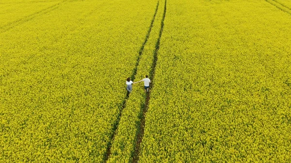 Пара біжить тримаючись за руки на жовтому полі каноли, вид з повітря — стокове фото