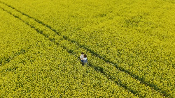 Romantico coppia silhouette abbracci su infinito campo giallo — Foto Stock