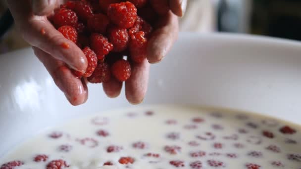 Mãos pessoa despeje framboesas vermelhas no leite em tigela branca — Vídeo de Stock