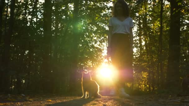 Девушка держит кота на поводке и закрывает солнечные лучи пронзающие деревья — стоковое видео