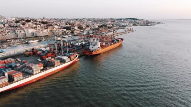 Aerial view of large ships moored to cargo port for loading — Stock Video