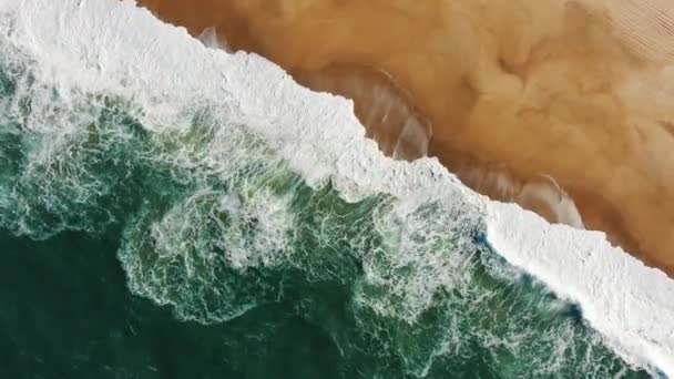 Turkuaz okyanusun kumsal yıkama manzarası — Stok video