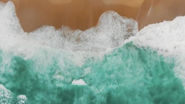 Aerial view of immense turquoise ocean waves washing beach — Stock Video