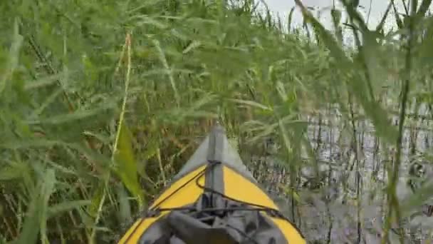 Sakin göl boyunca yeşil sazlıklar arasında süzülen küçük bir kano. — Stok video