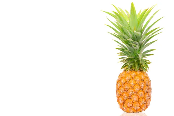 Solo primer plano pineapple.maduro piña aislado en blanco backgr — Foto de Stock