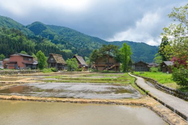 Shirakawago (Shirakawa köyü) world Heritage Koyu yaz aylarında. Shirakawago Gifu ili, Japonya konumlanan bir köydür.