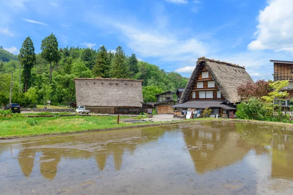 Shirakawago Village Shirakawa Village Patrimoine Mondial Été Shirakawago Est Village — Photo