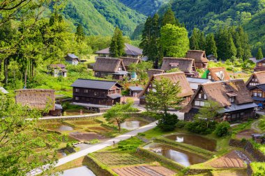 Gokayama Köyü 'ndeki Gthe-zukuri evleri. Gokayama, Gifu ilindeki Shirakawa-go yakınlarındaki geleneksel Gthe-zukuri evleri nedeniyle UNESCO Dünya Mirasları Listesine yazıldı..