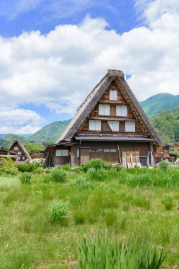 Gifu, Japonya - 16 Mayıs 2016: Shirakawago görünümü (Shirakawa köyü) Dünya Miras köy yaz. Shirakawago Gifu ili, Japonya konumlanan bir köydür.