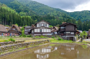 Gifu, Japonya - 16 Mayıs 2016: Shirakawago görünümü (Shirakawa köyü) Dünya Miras köy yaz. Shirakawago Gifu ili, Japonya konumlanan bir köydür.