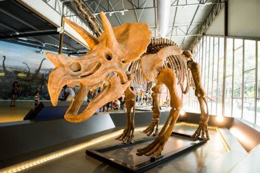 Bangkok, Tayland - 21 Temmuz 2016: Dinozor gezegen, bir dinozor tema park şehir Bangkok, Tayland, Thailand, dinozor.