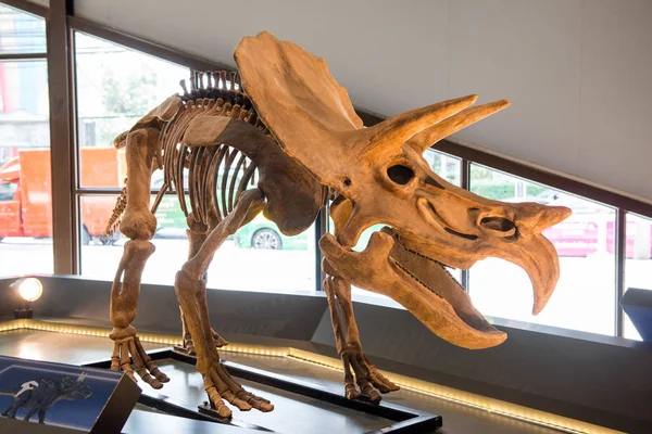 Bangkok, Tayland - 21 Temmuz 2016: Dinozor gezegen, bir dinozor tema park şehir Bangkok, Tayland, Thailand, dinozor.