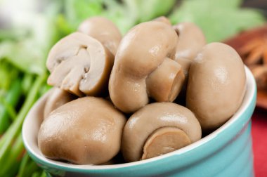 Champignon mantar