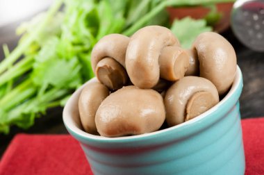 Champignon mantar