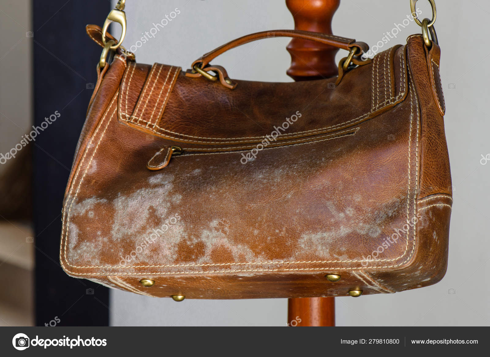 Mould on bag Stock Photo by norgallery 279810800