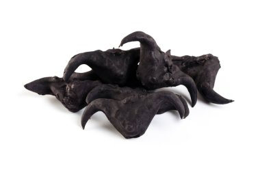 Suya yakın caltrop
