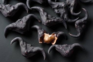 Suya yakın caltrop