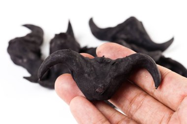 Suya yakın caltrop