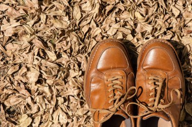 Bahçede yakın plan kahverengi deri ayakkabılar (açık hava çekimi)