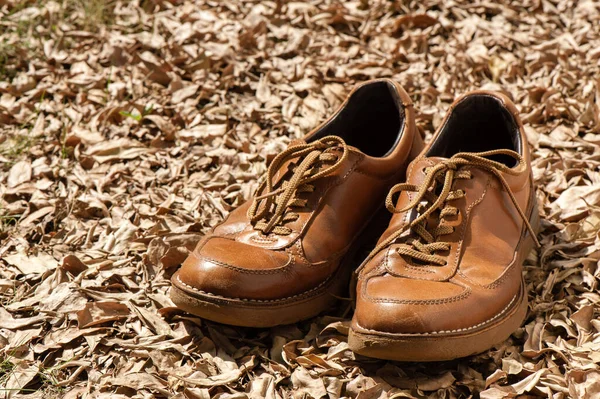 Close Brown Leather Fashion Shoes Garden Outdoor Shoot — стоковое фото