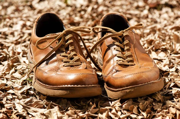 Close Brown Leather Fashion Shoes Garden Outdoor Shoot — стоковое фото