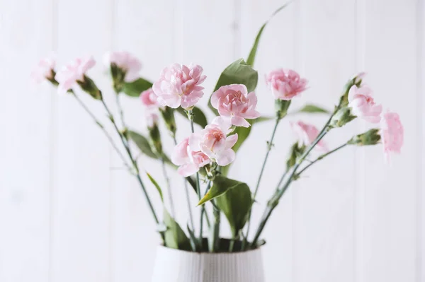 Close Roze Anjer Bloemen Bloesem Ondiepe Diepte Van Het Veld — Stockfoto