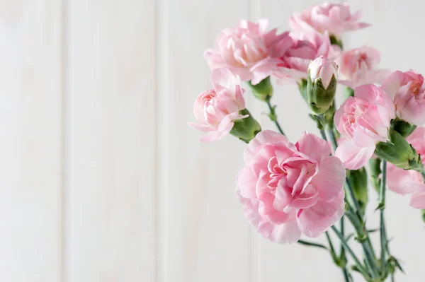 Close Roze Anjer Bloemen Bloesem Ondiepe Diepte Van Het Veld — Stockfoto