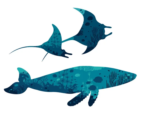 水下动物 海床内有珊瑚礁和鱼 两个蝠鲼和鲸鱼的剪影在白色背景 矢量隔离插图 — 图库矢量图片