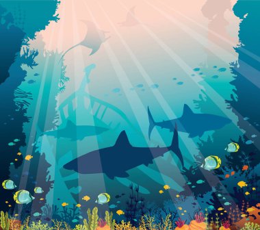 Köpekbalıkları, mantas, tropikal balıklar, batık gemi ve mercan resif deniz arka plan üzerinde silüeti. Sualtı doğa ve deniz yaban hayatı. Vektör okyanus çizim.