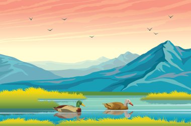 Vektör sonbahar manzara. İki çizgi film ördek, sakin göl ve blue Dağları üzerinde pembe günbatımı gökyüzü doğa illüstrasyon. Hayvan yaban hayatı.