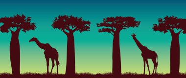 Giraffs ve baobabs bir gece gökyüzü arka plan üzerinde silüeti. Afrika vektör manzara. Hayvan yaban hayatı illüstrasyon.
