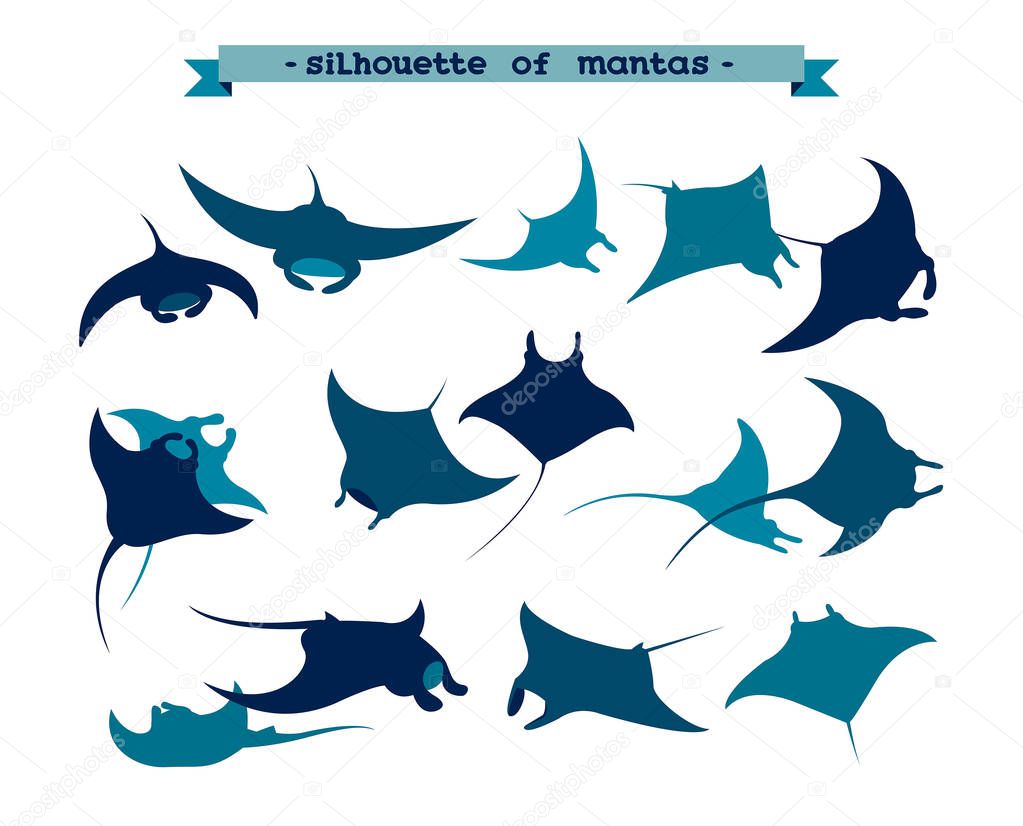 Vector illusrtation with silhouette of manta ray on a white background. Set of underwater animal - mantas.