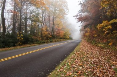 Parkway üzerinde sisli sürücü