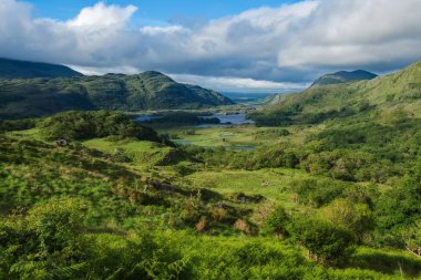 Bayanlar altın saat göster