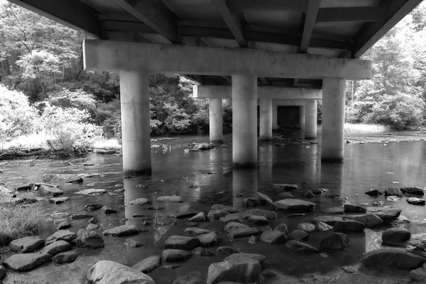 Pont Infrarouge Dans Forêt — Photo