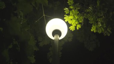 Ağaçların arasında Parkta parlayan parlak fener. Yakından kapatın. Fenerden gelen ışık ağaçların yeşil yapraklarıarasında parlıyor. Sakin duygular, beklentiler.