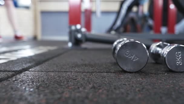 Twee Lichte Dumbbells Vloer Van Sportschool Het Concept Van Een — Stockvideo