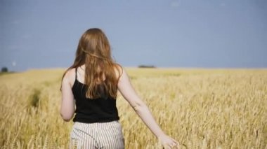 buğday tarlasında yürüyen kız elleriyle sivri lere dokunuyor. köyde yaz tatili. köyde modern gençlik