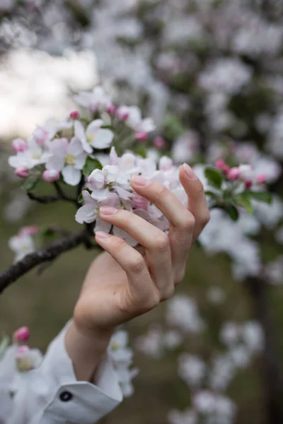 Spring Flowering Tree Garden Hand Flowers — Stock Photo, Image