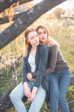 İki genç kadın dalları üzerinde oturan ve gün batımında sarılma. En iyi dostlar