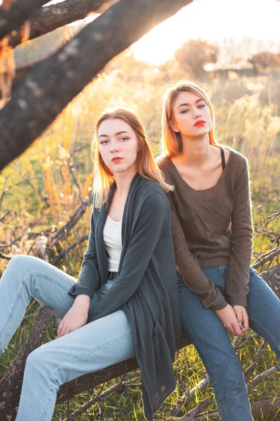 Dos Chicas Están Sentadas Las Ramas Atardecer — Foto de Stock