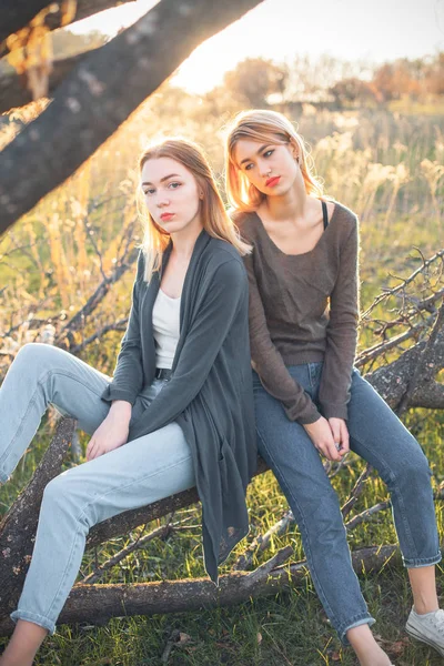 Duas Jovens Estão Sentadas Nos Galhos Pôr Sol — Fotografia de Stock