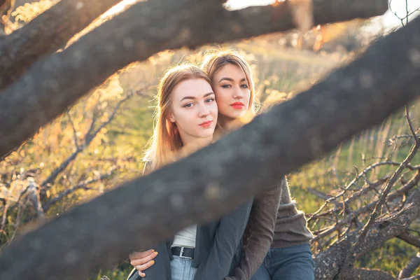 日落时两个女孩坐在树枝上 — 图库照片