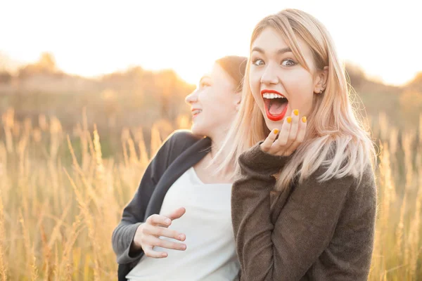 Δύο Νεαρές Γυναίκες Γελώντας Στο Πεδίο Στο Ηλιοβασίλεμα — Φωτογραφία Αρχείου